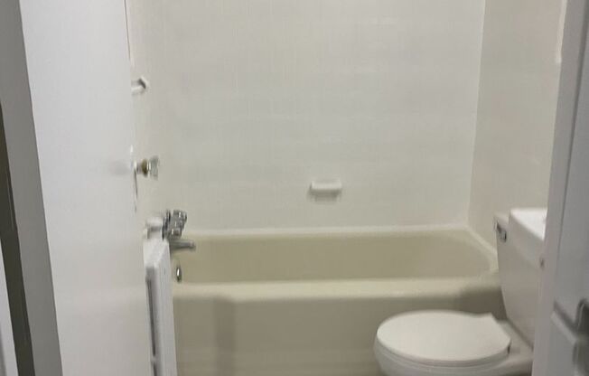 Studio, 1 bath, 362 sqft, $1,531, Unit 316