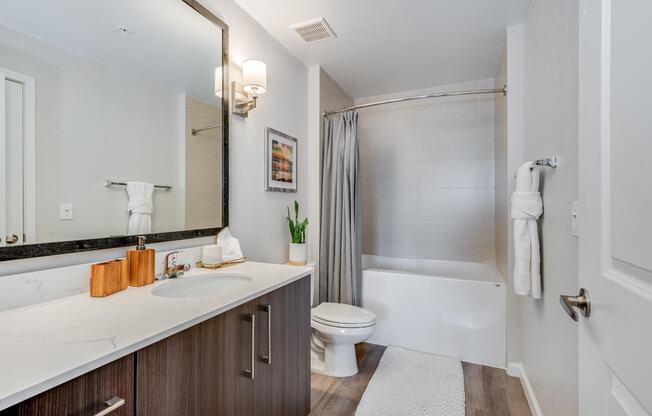 a bathroom with a sink and a toilet and a shower