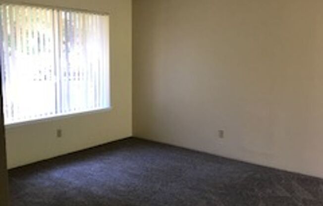 3 beds, 1 bath, 906 sqft, $1,849, Unit 15