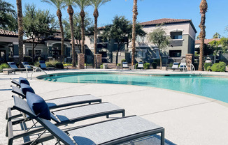 A poolside area with sun loungers and palm trees.