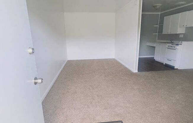 1 bed, 1 bath, $990, Unit 166