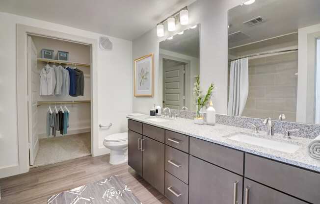a bathroom with a large mirror and two sinks