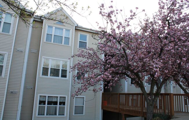 Charming 2 Bedroom/1 Bathroom Condo in Halethorpe, MD!