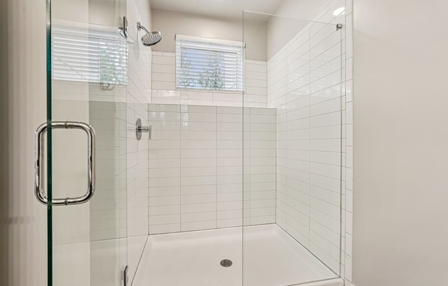A white tiled stand-up shower with a glass door and a window with a view and blind.