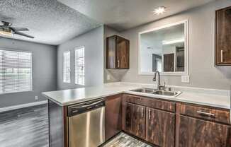 A modern kitchen with a stainless steel dishwasher and wooden cabinets.