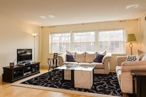 1 bed, 1 bath, 871 sqft, $3,100, Unit 206