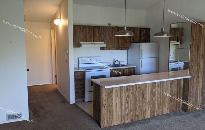 Studio, 1 bath, 416 sqft, $1,150