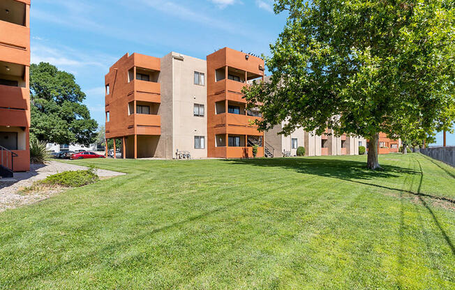 a grassy area with a tree in front of a building