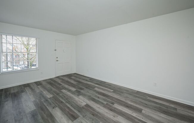 1 bed, 1 bath, 731 sqft, $1,051, Unit 3411