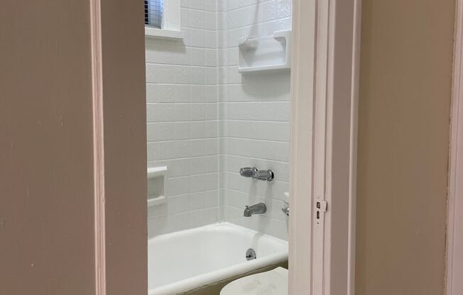 Studio, 1 bath, 260 sqft, $925, Unit 8