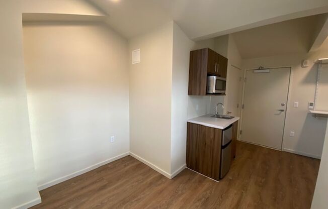 Studio, 1 bath, 175 sqft, $1,495, Unit 501