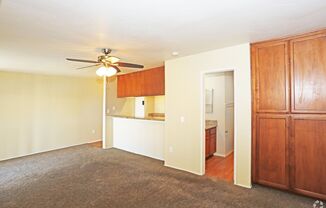 Studio, 1 bath, 431 sqft, $1,645, Unit 217