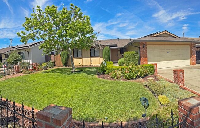 Beautiful Updated 3 Bedroom, 2 Bathroom San Jose Home!