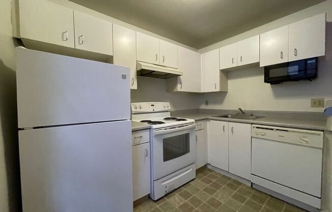 Studio, 1 bath, 464 sqft, $1,150, Unit 119