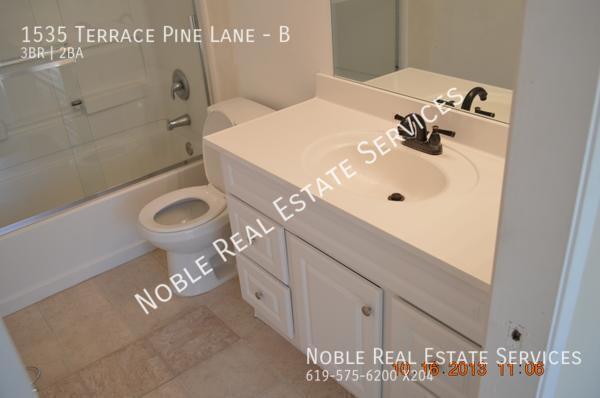 1535 TERRACE PINE LN