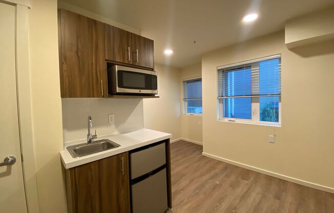 Studio, 1 bath, 178 sqft, $1,099, Unit 228-MFTE