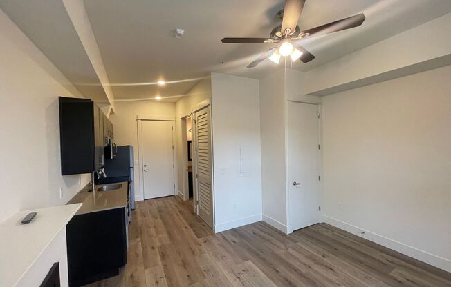 Studio, 1 bath, 340 sqft, $1,095, Unit 1306*