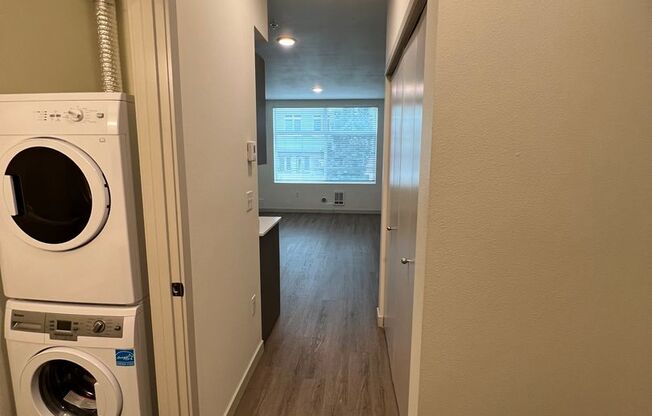 Studio, 1 bath, 306 sqft, $1,245, Unit 203