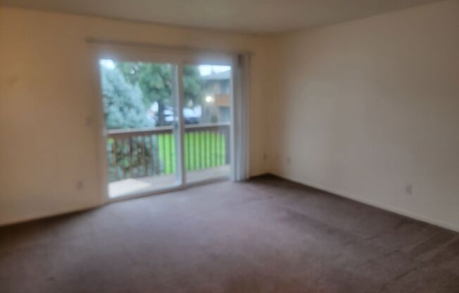 #245 VILLAGE GREEN APTS