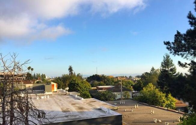 1 bed, 1 bath, $2,300, Unit 105