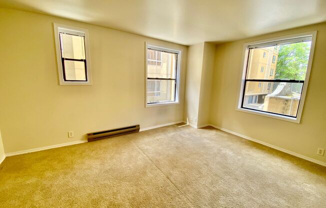 1 bed, 1 bath, 500 sqft, $1,495, Unit 215