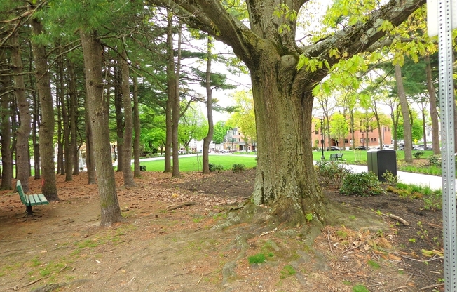 1 bed, 1 bath, 760 sqft, $2,400, Unit D76