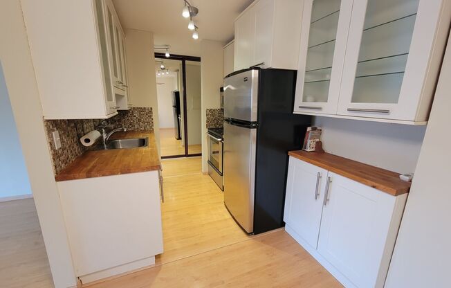 Newly Updated 1 Br/1 Ba Condo w/Hdwd Flrs, SS Appl, AC, Off-St Parking in Uptown Mpls near Wedge Co-op!