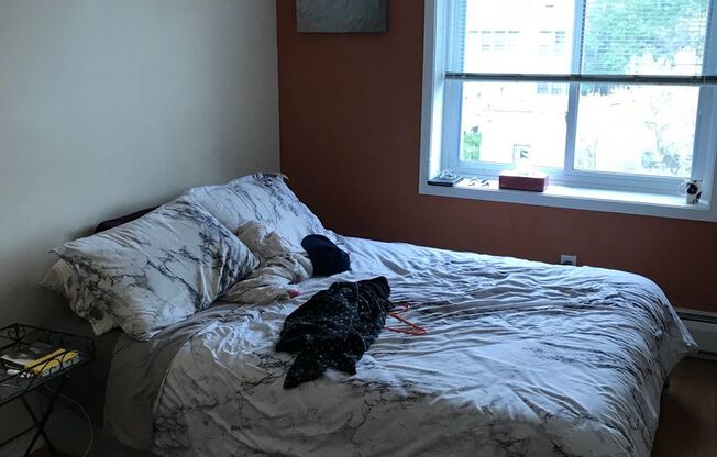 1 bed, 1 bath, 550 sqft, $1,150, Unit 409