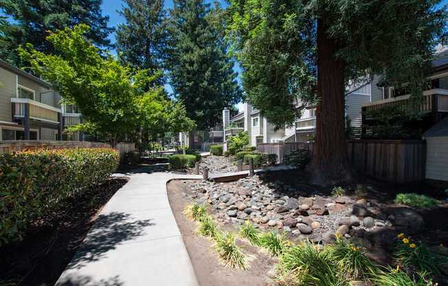 A sidewalk with a gravel bed and trees in front of apartment buildings.