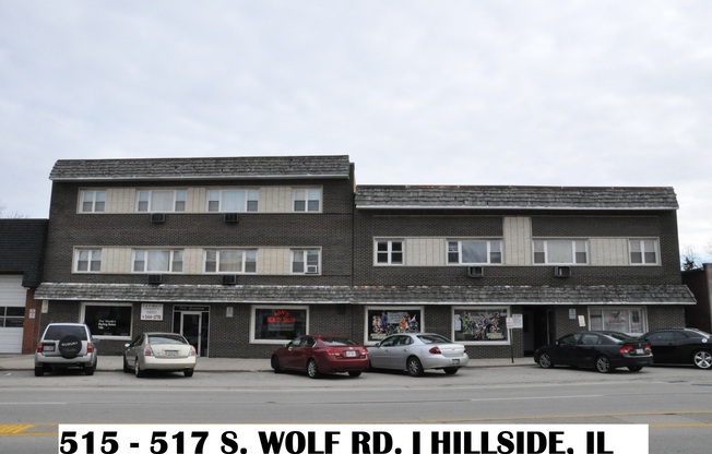 Frances Gustafson 517