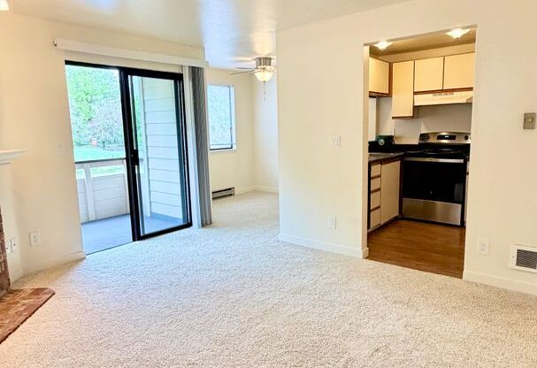 1 bed, 1 bath, 650 sqft, $1,250, Unit B201