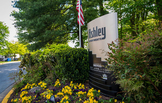 Ashley Apartments Entry Signage Corner Close Photo