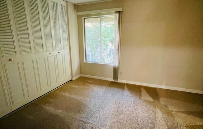 1 bed, 1 bath, $2,000, Unit # 220