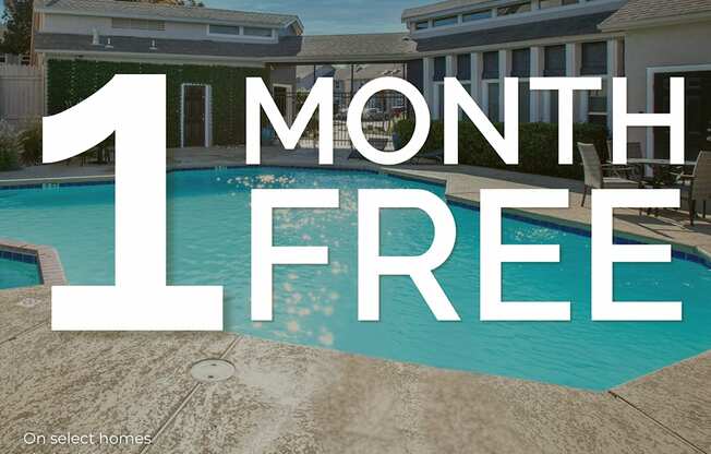 A pool with the text "1 MONTH FREE" on it.