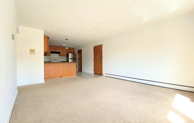 368 ELLIOT ST