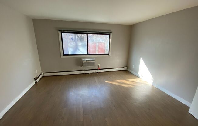 Studio, 1 bath, 300 sqft, $795, Unit 205