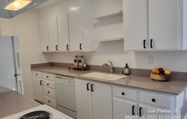 2364 Las Plumas Ave