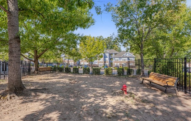 A park with a bench, a fire hydrant, and a tree.