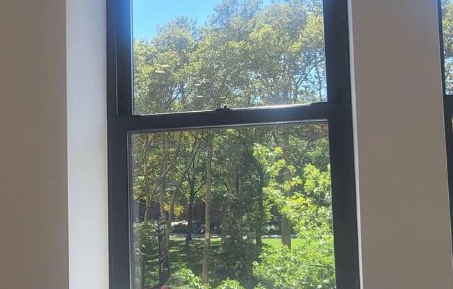 1 bed, 1 bath, $5,500, Unit 4F