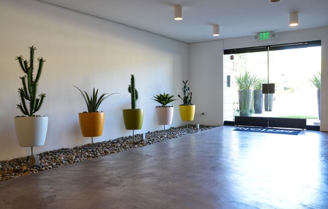 1 bed, 1 bath, 559 sqft, $1,850, Unit 235