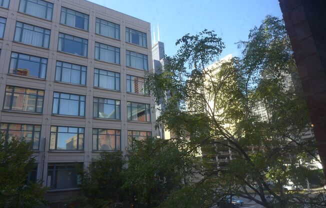 2 beds, 2 baths, 1,100 sqft, $2,795, Unit 208