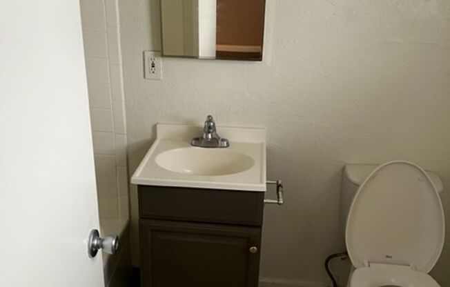 310 W Mountain View SLV