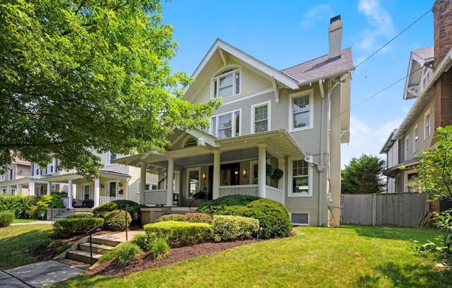 Sunny, Spacious, & Spectacular