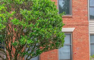 3 beds, 2 baths, $2,800