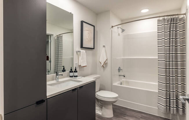 1 Bedroom Model Bathroom - Coen & Columbia