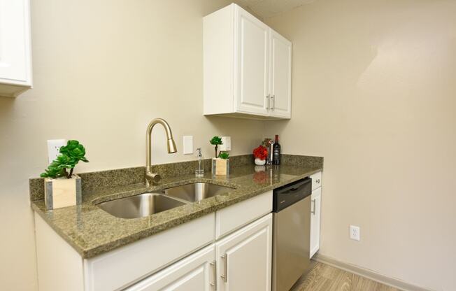 a kitchen with a sink and a dishwasher
