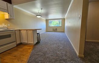 DU 1 Bed 1 Bath Condo Steps Away From Everything DU!! Available Now