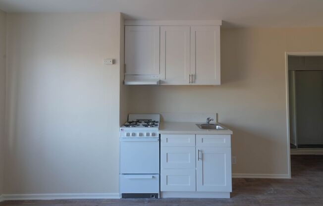 Studio, 1 bath, 252 sqft, $1,350, Unit 29