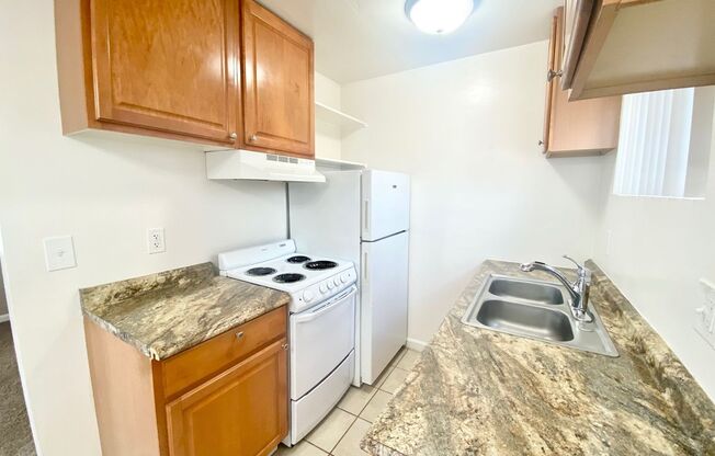 Euclid (Saulo Trust)