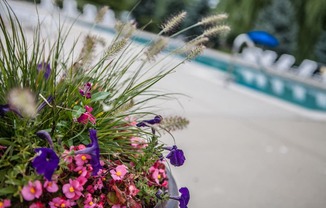 Flowerpot by Pool at Prentiss Pointe Apartments, MI